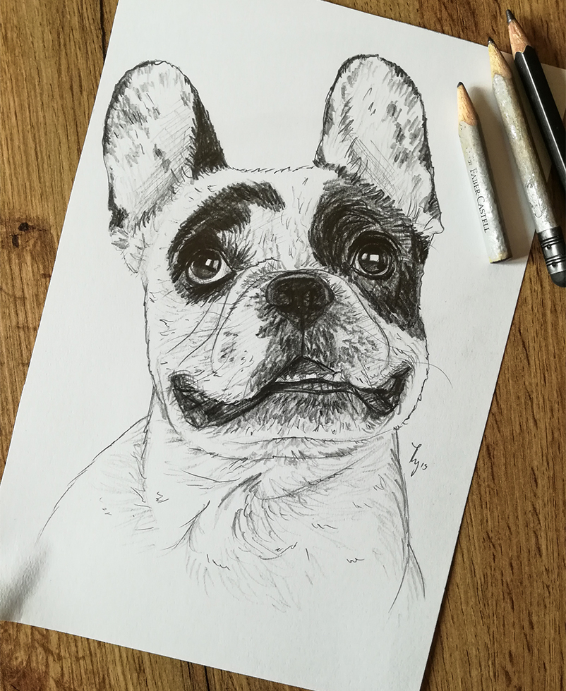 Pencil Sketch of a Dog on Paper French Bulldog Drawing by Thubakabra